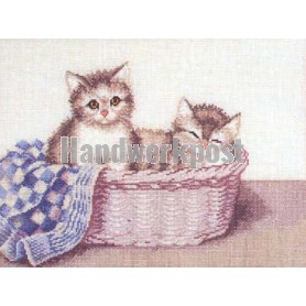 borduurpakket kittens in rieten mand