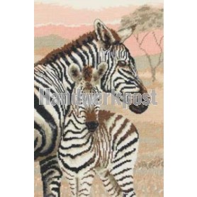 borduurpakket zebra met veulen