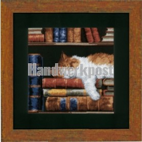 borduurpakket poes in de boekenkast