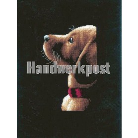 borduurpakket labradorpup