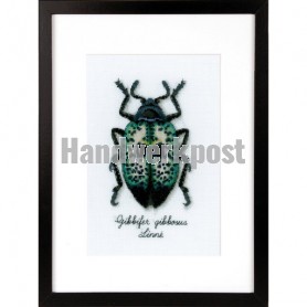 borduurpakket insecten, blauwe kever