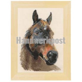 borduurpakket paard