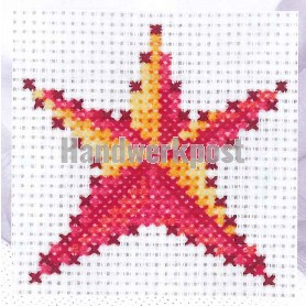 borduurpakket zeester