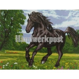 stramien zwarte hengst in galop