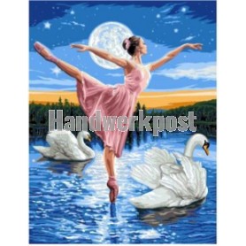 stramien ballerina op zwanenmeer