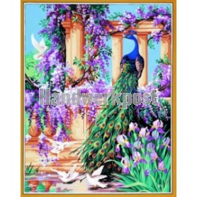 stramien pauw met vogels