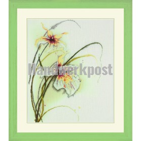 borduurpakket jan kooistra, "orchidee" 