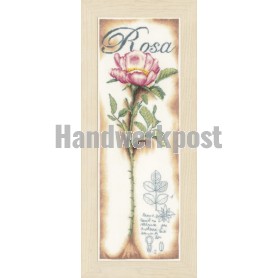 borduurpakket rose roos