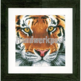 borduurpakket tijger close-up