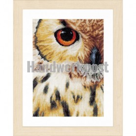 borduurpakket uil close-up