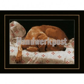 borduurpakket slapende hond