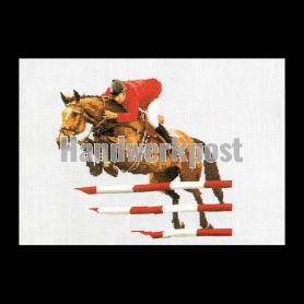 borduurpakket paardensport
