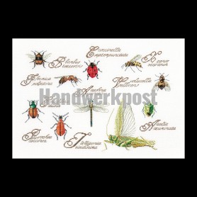 borduurpakket insekten