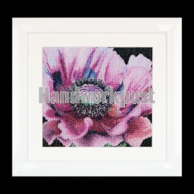 borduurpakket klaproos close-up