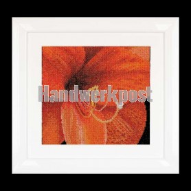 borduurpakket amaryllis close-up