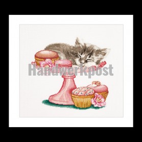 borduurpakket kitten op gebakschaal