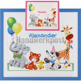 borduurpakket geboorte alexander/paulien (incl. blauw/rose garen)