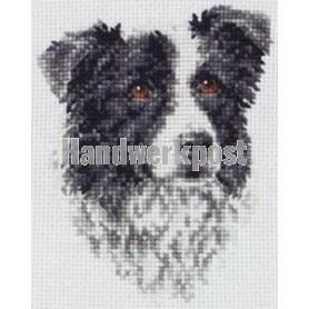 borduurpakket border collie