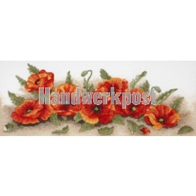 borduurpakket klaprozen