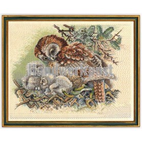 borduurpakket familie uil