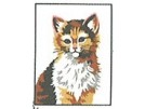 borduurpakket poes