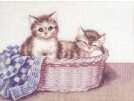 borduurpakket kittens in rieten mand