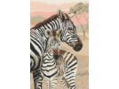 borduurpakket zebra met veulen