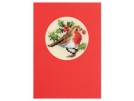 borduurpakket kerstkaart, roodborstje