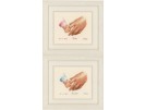 borduurpakket geboorte jaden/jade (incl. blauw/rose garen)
