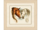 borduurpakket paardenhoofden