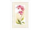 borduurpakket orchideeën