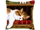 kruissteekkussen poes in de boekenkast