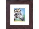 borduurpakket wildlife, zebra