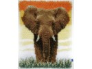 knoopkleed olifant op de savanne