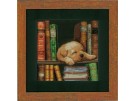 borduurpakket hond in de boekenkast