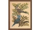 borduurpakket vogels, kroonduiven