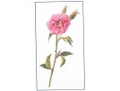 borduurpakket rose roos