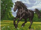 stramien zwarte hengst in galop