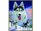 stramien collage wolven