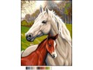 stramien + garenpakket, paard met veulen