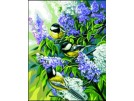 stramien + garenpakket, koolmeesjes met bloemen-1
