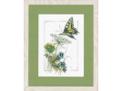 borduurpakket rups/vlinder op fluitekruid/blauwe bessen