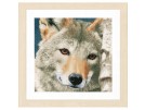 borduurpakket wolf close-up