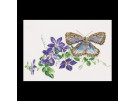 borduurpakket blauwtje op clematis