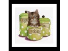 borduurpakket poes tussen koektrommels