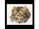 borduurpakket langharige poes