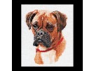 borduurpakket boxer