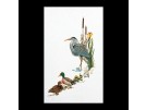 borduurpakket reiger