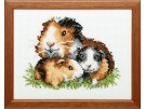 borduurpakket cavia's