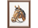 borduurpakket paard